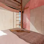 Pink House Santa Cruz A dos Cunhados